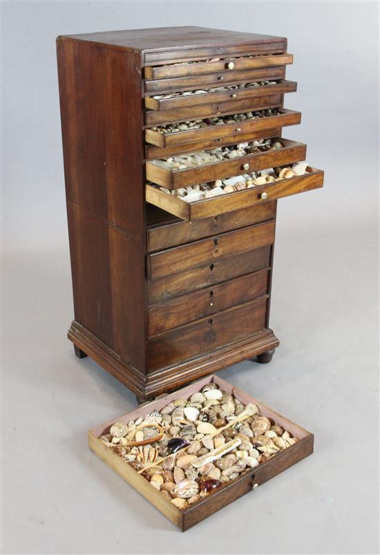 An early 19th century mahogany collectors chest, with an extensive collection of sea shells, W. 1ft 6in. D. 1ft 4in. H. 3ft 5in.